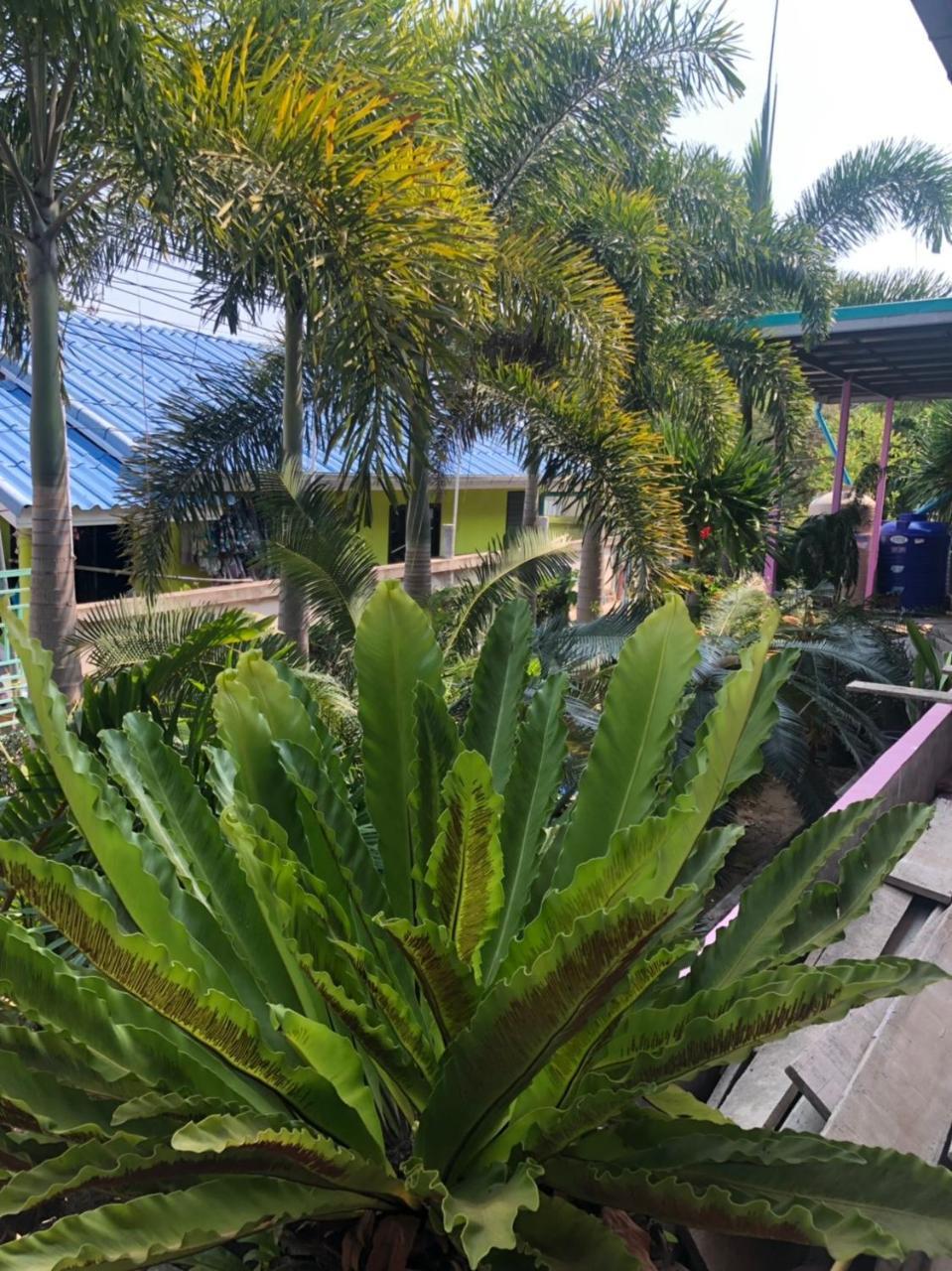 Bann Pa Su Hotel Ko Lan Buitenkant foto